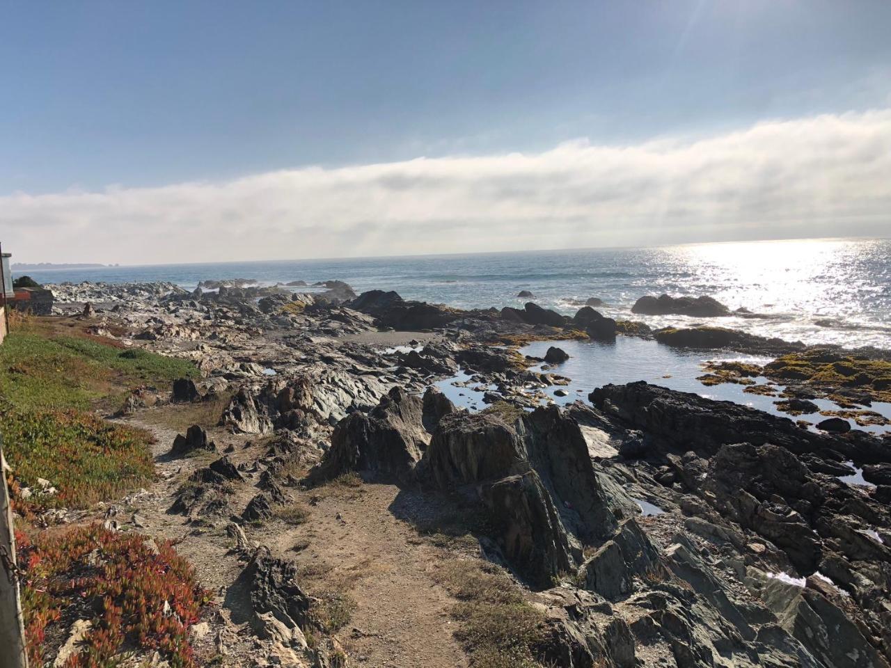 Delfin Apart Pichilemu Luaran gambar