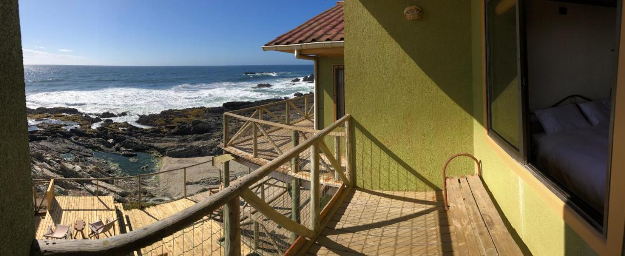 Delfin Apart Pichilemu Luaran gambar
