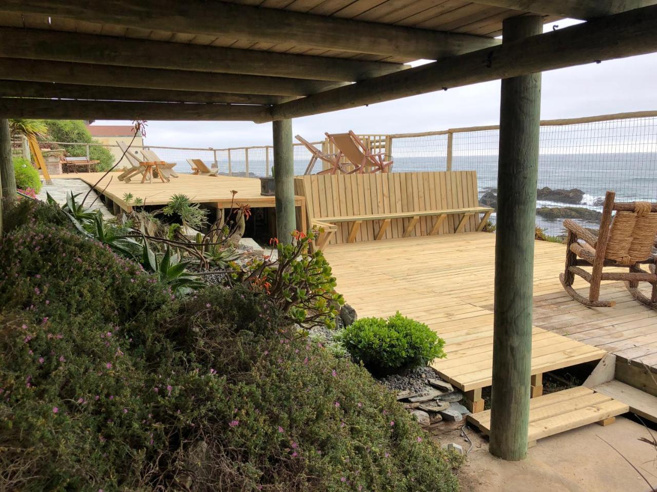 Delfin Apart Pichilemu Luaran gambar