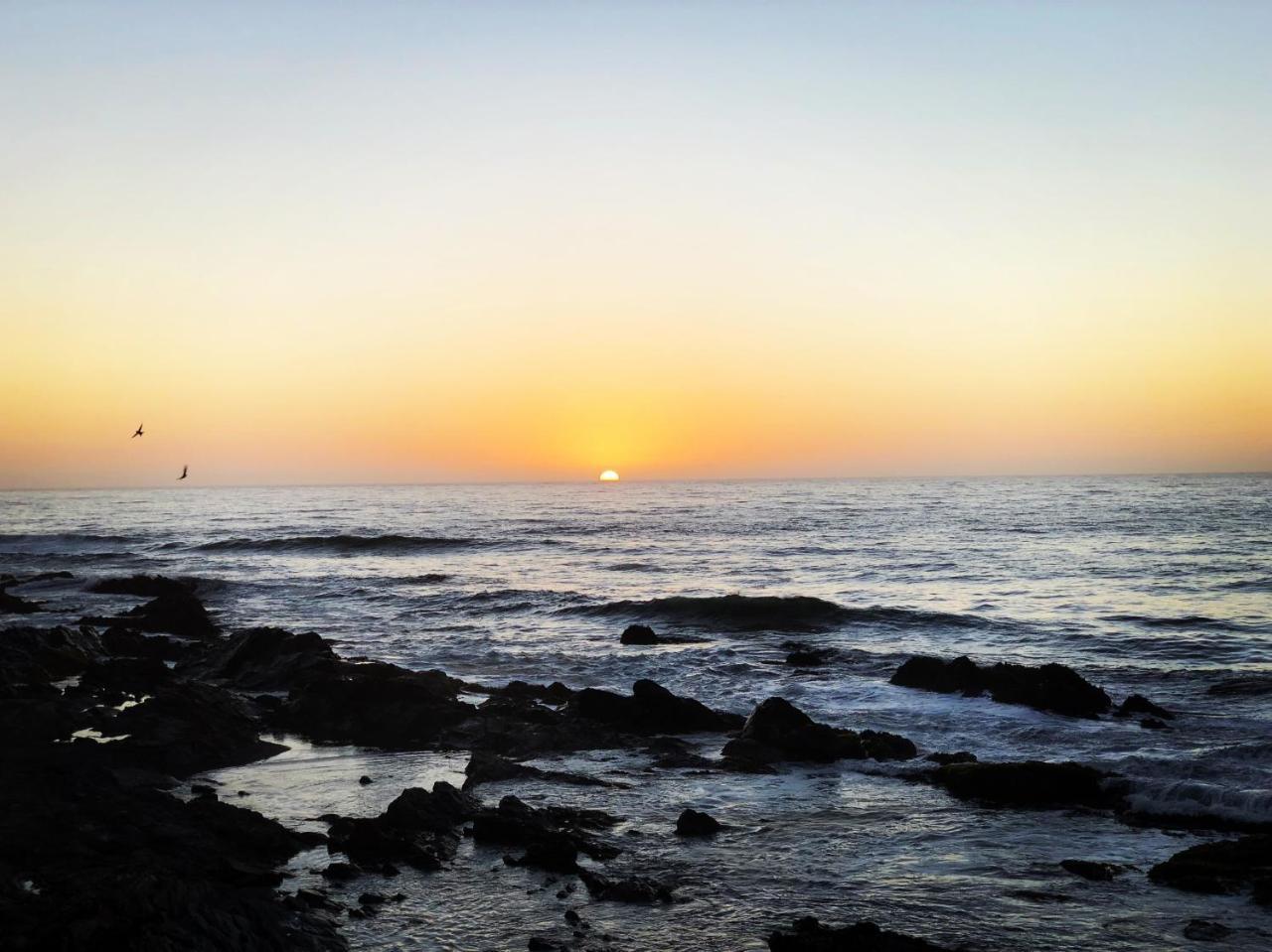 Delfin Apart Pichilemu Luaran gambar